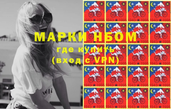 стафф Россошь